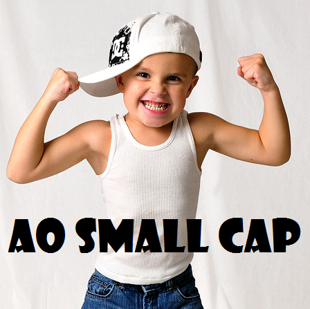 come-investire-smallcap